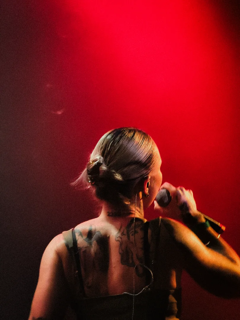 Photo 12 de la galerie Concert. 