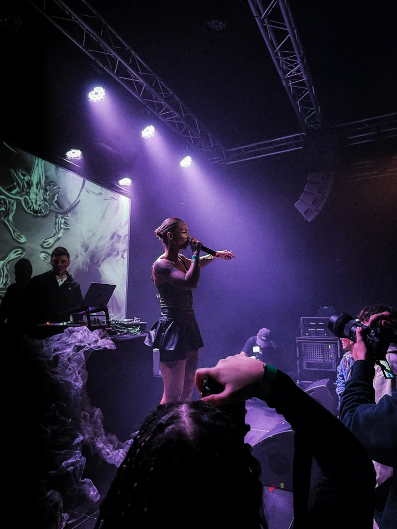 Photo 10 de la galerie Concert. 